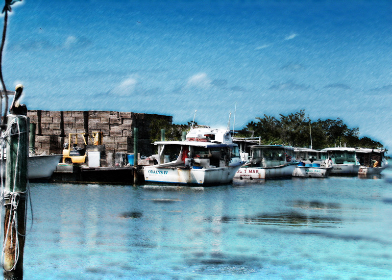 Boatyard Tranquility