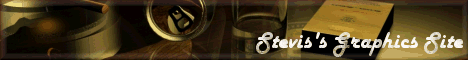 Stevie banner